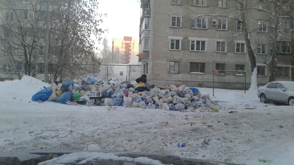 «САХ» психануло? Кто виноват в мусорном коллапсе в Кирове и когда уберут выросшие свалки