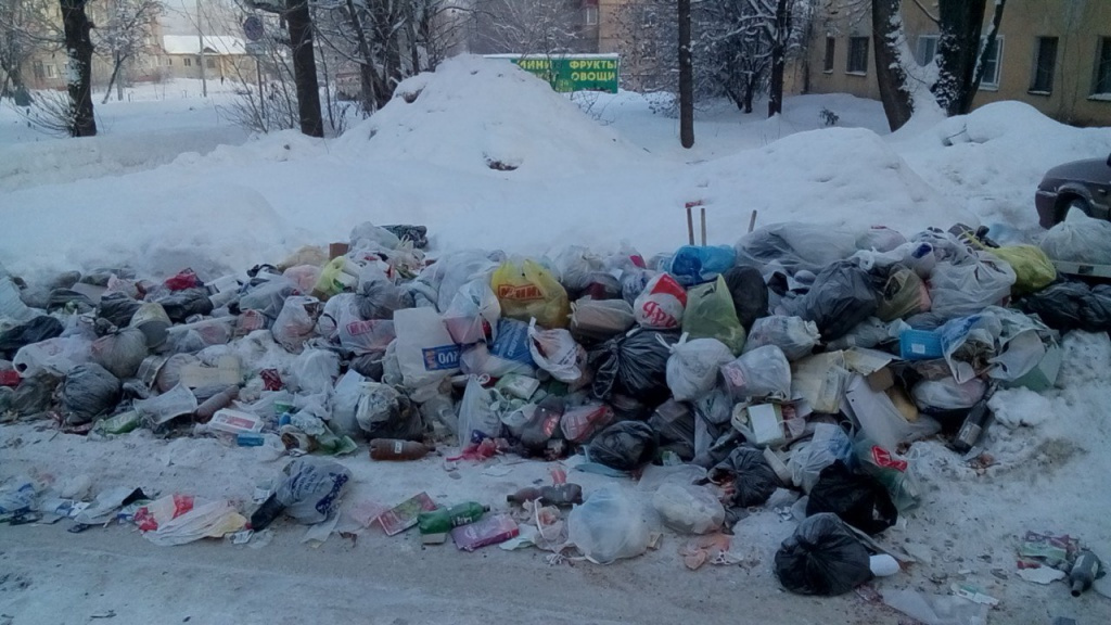 «САХ» психануло? Кто виноват в мусорном коллапсе в Кирове и когда уберут выросшие свалки