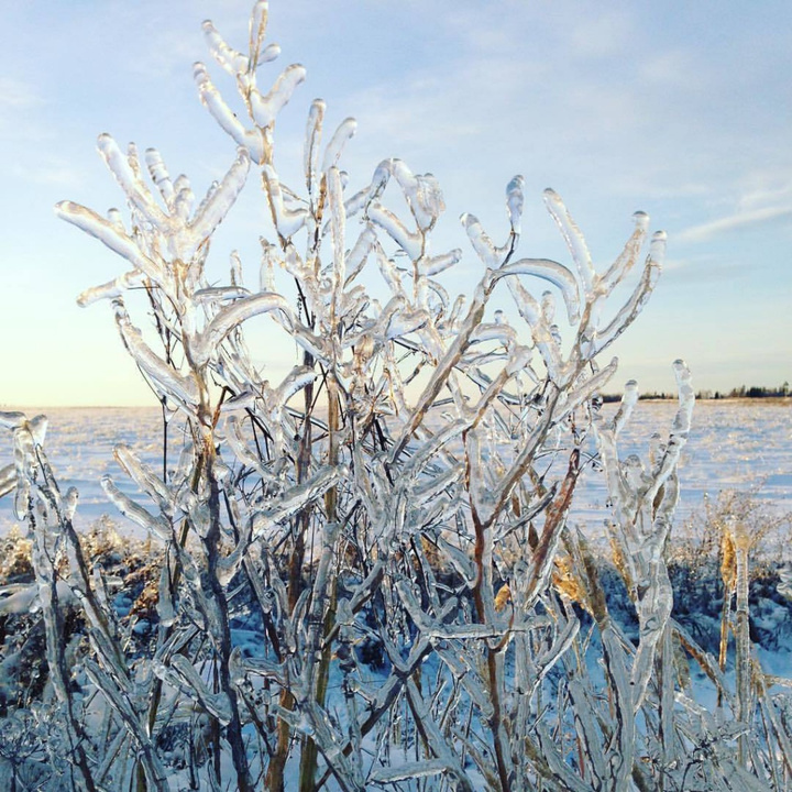 «Сказочная зима». Как ваши фотографии создают предновогоднее настроение