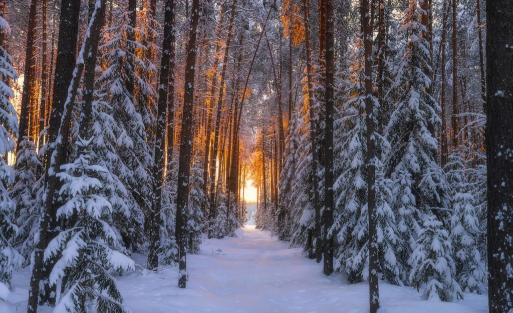 «Сказочная зима». Провожаем зиму выставкой лучших фотографий