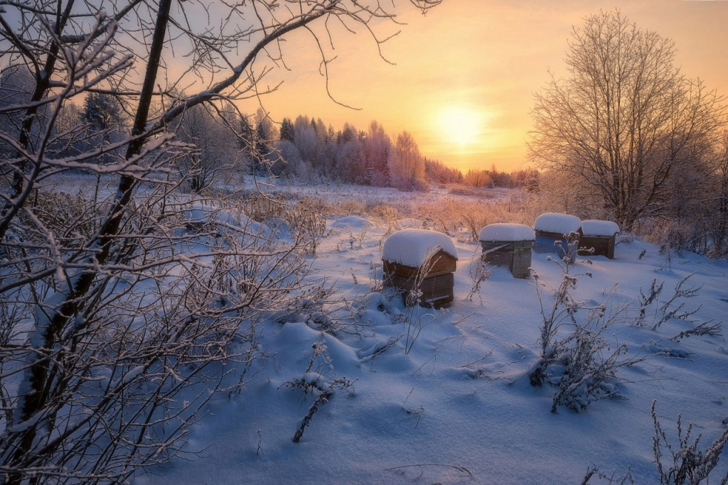«Сказочная зима». Уникальные кадры аномальных холодов