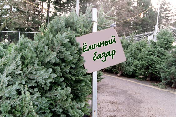Где можно купить новогоднюю ёлку в Кирове? Краткий обзор