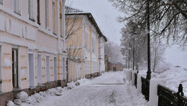 На неделе в Кировской области выпадет снег