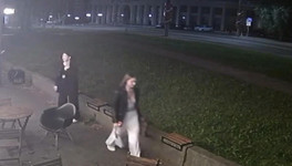 Кировчанка украла скамейку из городского кафе