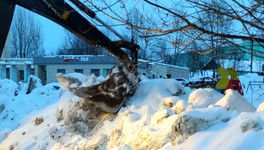 Из-за коммунальной аварии на улице Кольцова без воды остались десятки кировчан