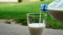 Почти половина «молочки», ввезённой в Кировскую область, оказалась фальсификатом