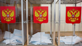 В Кировской области зарегистрировали подгруппу по референдуму о пенсионной реформе