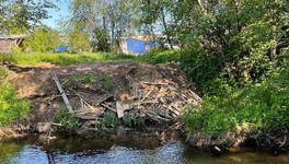 Руководителя предприятия в Кирове привлекли к ответственности за свалку мусора у реки