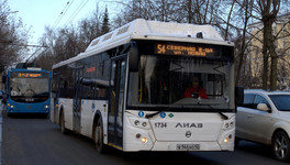 Начальником транспортного комитета Кировской области стал Денис Роздин