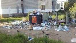 Кировчан просят поучаствовать в замерах мусора