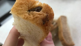 В кумёнской школе в хлебе нашли запечённого таракана