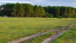 Рослесхоз проверит работу лесного ведомства Кировской области