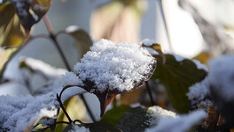 В Кировской области сильно похолодает и выпадет снег