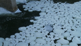 Житель Яранска запечатлел блинчатый лёд