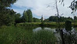 В Кировской области будут награждать заслуженных экологов