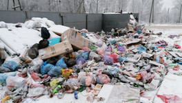 ОНФ: 30 районов Кировской области остались без контрактов по вывозу мусора на 2021 год