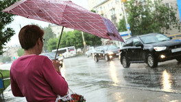 Циклон вернёт в Кировскую область похолодание и дожди