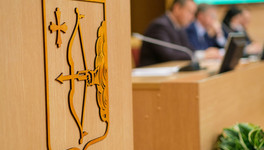 Законопроект о выплатах за первенца кировские депутаты рассмотрят 18 января