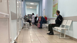 За прошлую неделю в Кировской области свиным гриппом заразились четыре человека