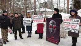 «За нас уже всё решили»: противники «Марадыковского» вышли на пикет в Мирном