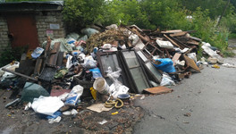 «Бегаем с мешками за мусоровозами»: график вывоза ТКО в Кировской области просят сделать удобным для жителей