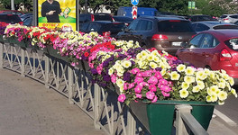 Сотрудники «Т Плюс» высадят цветы в городе к 650-летию Кирова