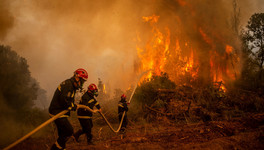 В МЧС Кировской области предупредили о высокой пожарной опасности с 19 мая