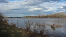 В Кировской области объявили метеопредупреждение на 20 апреля