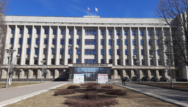 Кировчане выберут талисман 650-летнего юбилея города из 53 претендентов