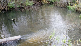 Сточные воды с предприятия в Вахрушах попали в реку Моховицу