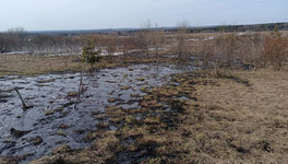 Выбросы предприятием сточных вод в деревне Салтыки подтвердили в минприроды