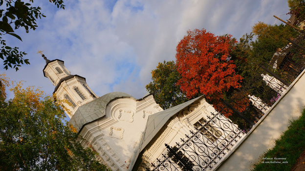 Кировчане фотографируют золотую осень. Подборка из соцсетей