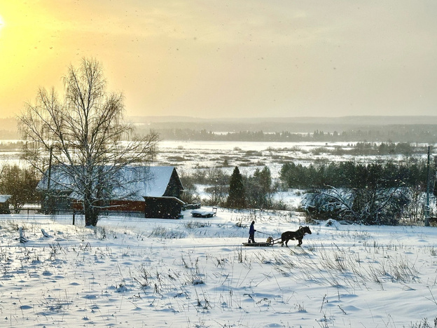 «Деревни станут для богатых, а города - для бедных»: фермер Александр Кочкин о развитии сельского туризма в Кировской области