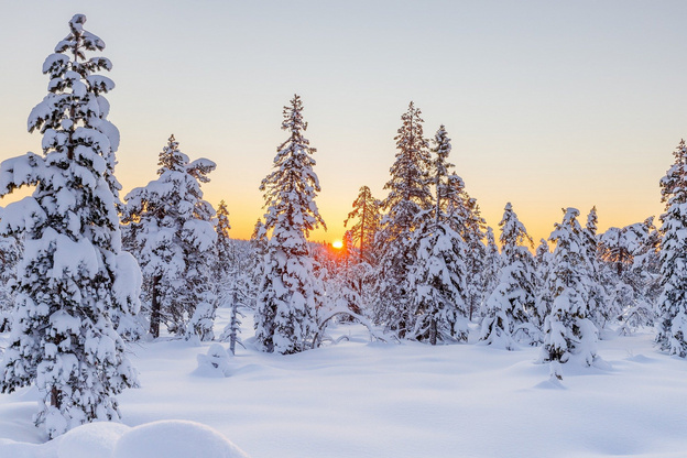 В Кировской области объявили метеопредупреждение из-за 40-градусных морозов