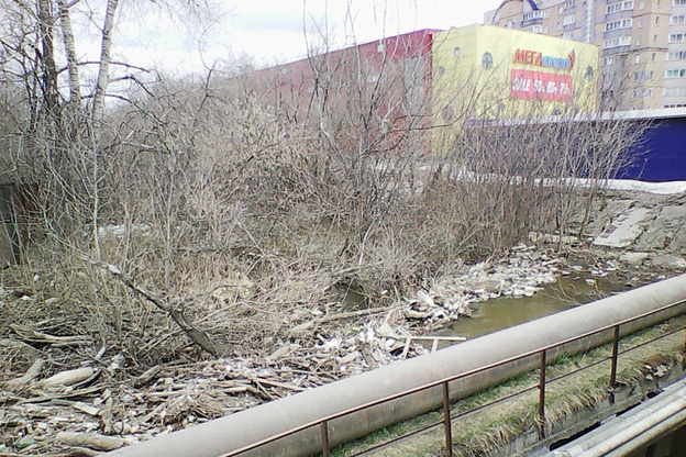 Реку Хлыновку в Кирове расчистят за 9 млн рублей