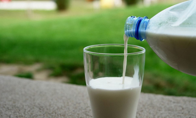 Почти половина «молочки», ввезённой в Кировскую область, оказалась фальсификатом