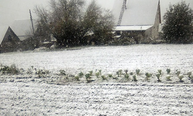 В Кировской области выпал первый снег