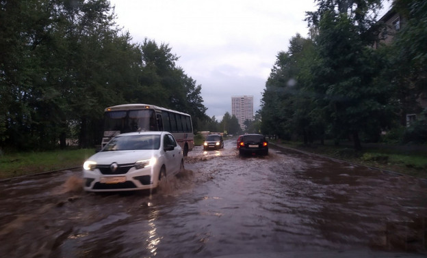 Затопленные дворы и поваленные деревья: последствия непогоды в Кировской области