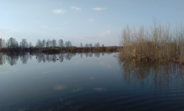 22 апреля в Кировской области откроется весенняя охота