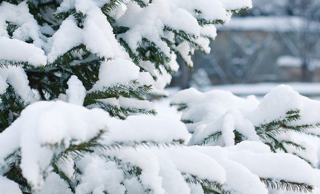На смену морозам в Кировской области придут потепление и снегопады
