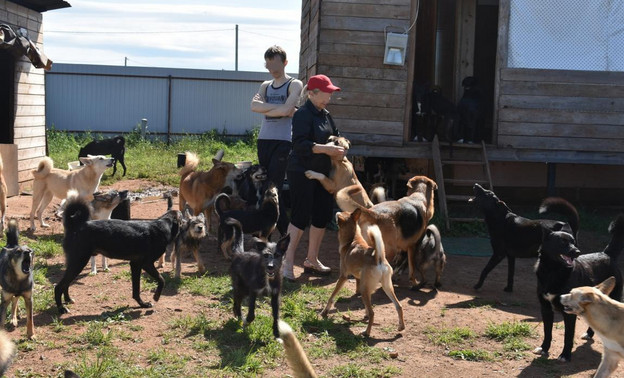 В Слободском районе приют для бездомных животных организовали в жилом доме