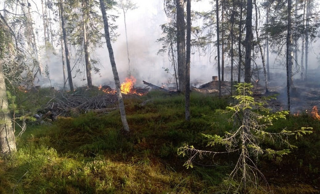 В Кировской области объявили о чрезвычайной пожарной опасности