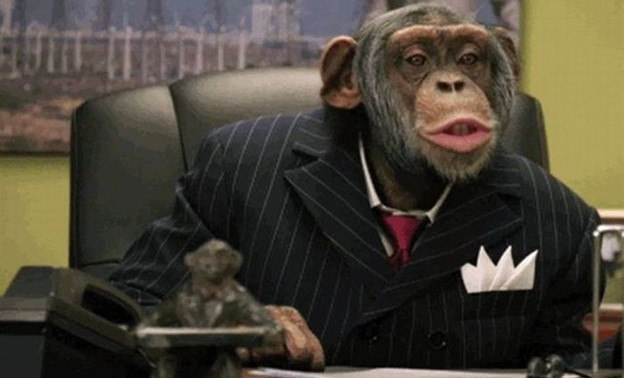 Психологи нашли сходство в поведении обезьян и политиков