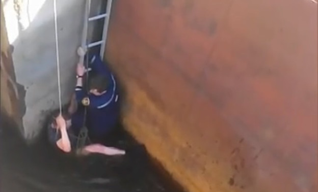 Пожарные спасли одноногого инвалида из ледяной воды Белохолуницкого пруда (видео)