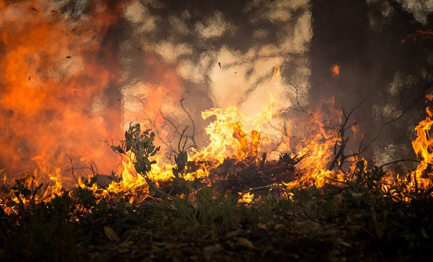 Региональное МЧС объявило о высокой опасности пожаров в Кировской области