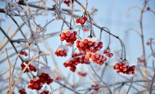 В Кировской области зафиксировали 40-градусные морозы