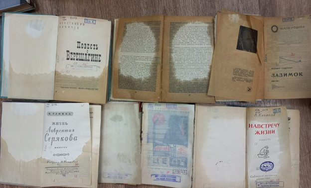 Потоп уничтожил большинство книг в библиотеке Вятскополянского района
