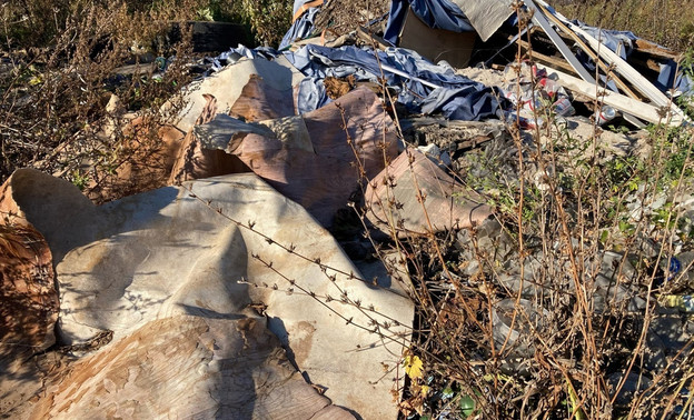 В Кировской области до конца года закроют три мусорных полигона