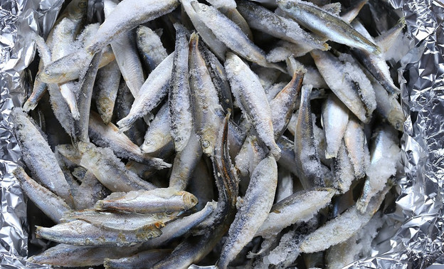 В Кировской области изъяли 81 кг опасной рыбы