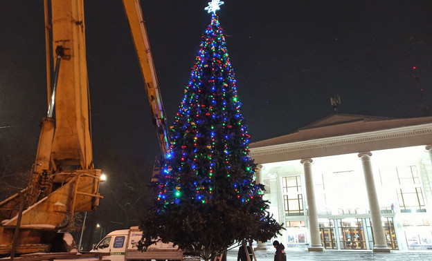 В Кирове у филармонии установили новогоднюю ель